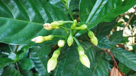 《最终幻想14》国际服7.3版本