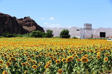 英国新一周实体游戏销量榜 《真人快打1》第二