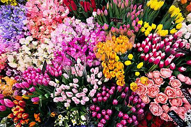 外媒根据业绩评选全球TOP手游商 米哈游排行第三